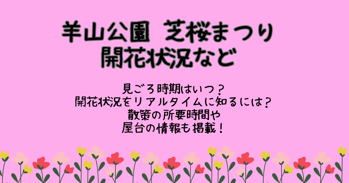 羊山公園　芝桜まつり　開花状況　見ごろ時期　リアルタイム速報　所要時間　屋台　料金　開催概要　ライブカメラ　